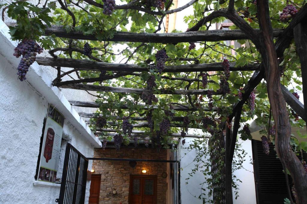 Mirto Apartments Áfissos Extérieur photo